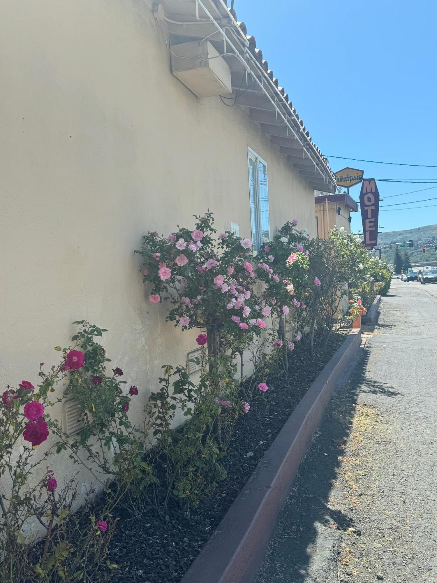 Tamalpais Motel Милл-Вэлли Экстерьер фото